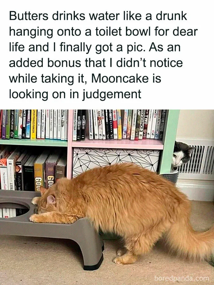 Like A Drunk