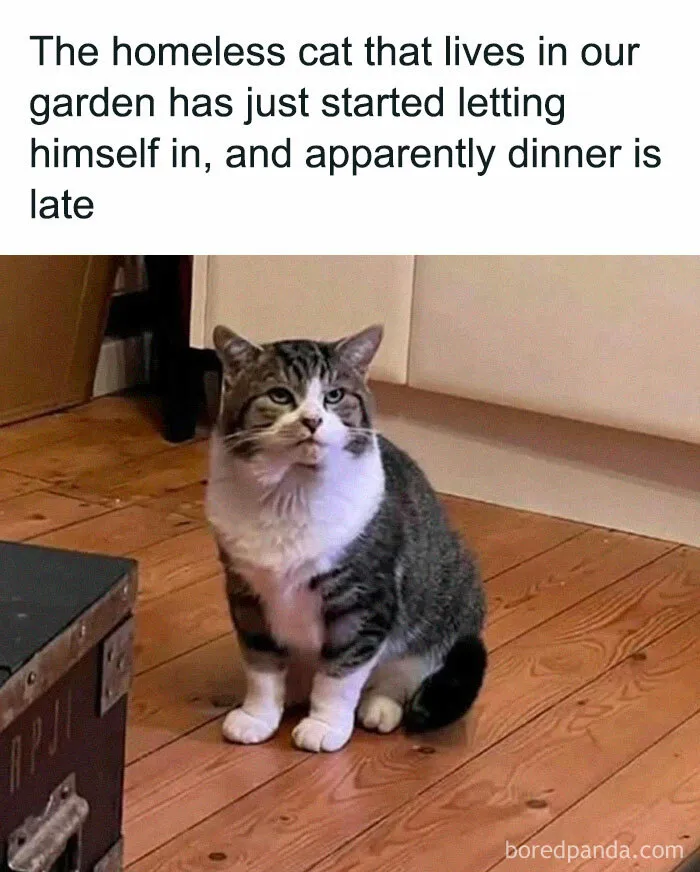 So Extra Treats