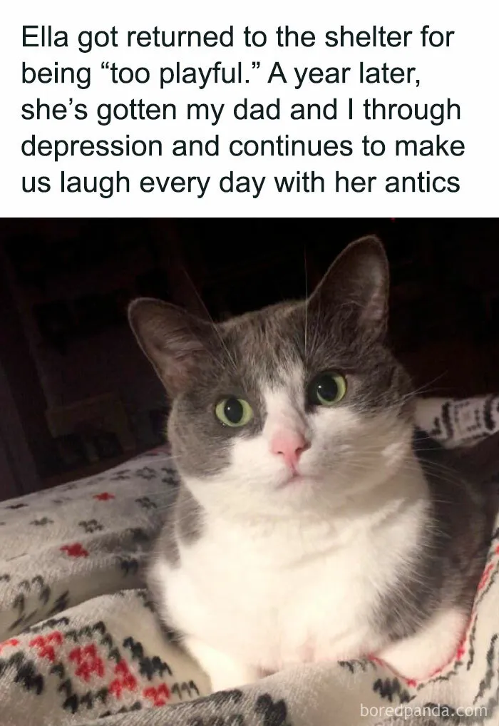 She Is The Joy Of The Whole Family