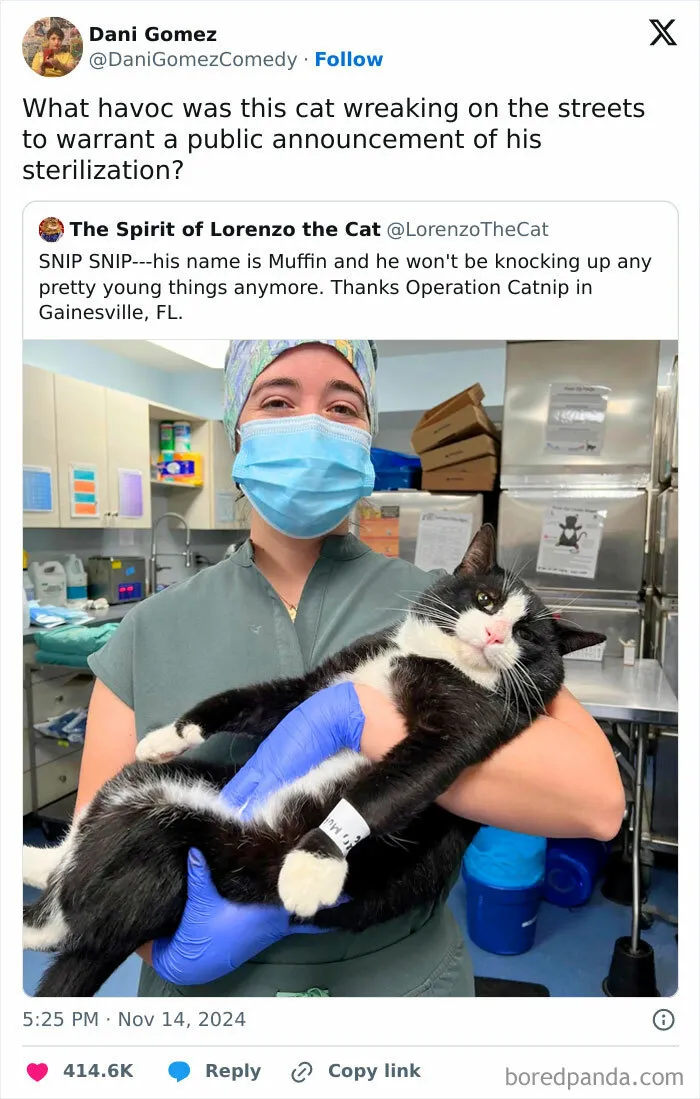 Brace Yourselves For The Florida Cat…
