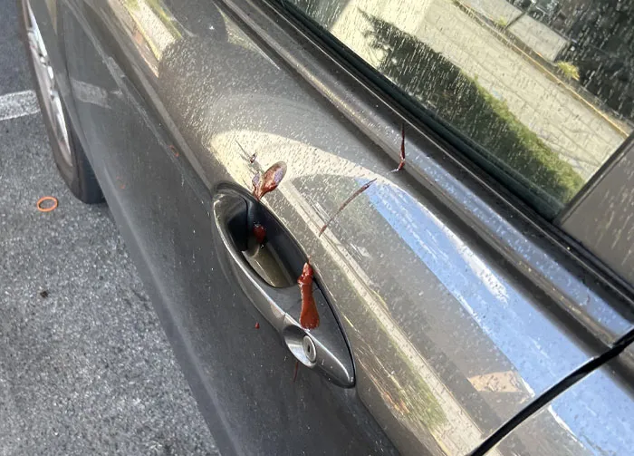 “The Smell Never Really Left The Car”: 30 Times People Got Wronged And Delivered Justice Themselves