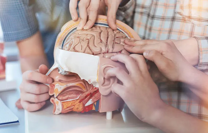 If You Want To Know More About The Human Body, Here Are 50 Strange Facts To Read