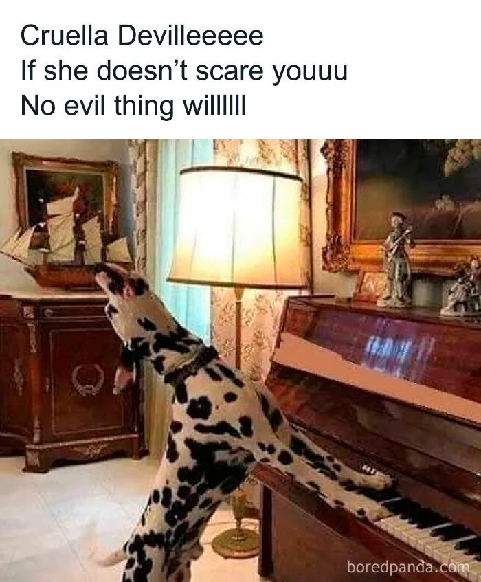 69 Funny Memes For Your Daily Dose Of Cute Animal Content (New Pics)