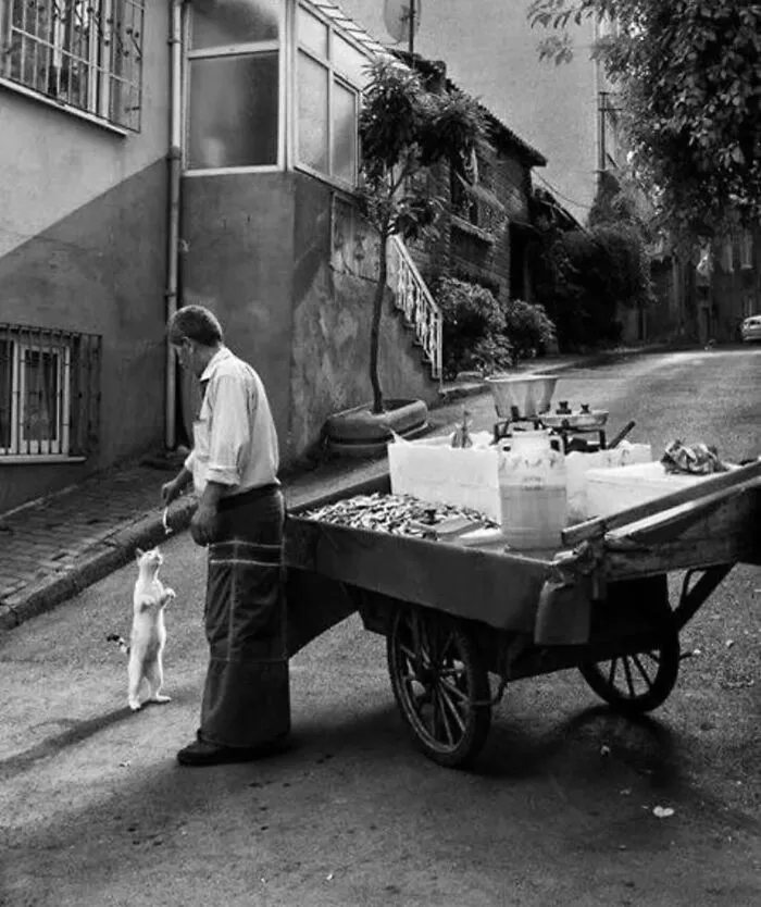 35 New And Captivating Street Photos That Showcase Life’s Unexpected Moments