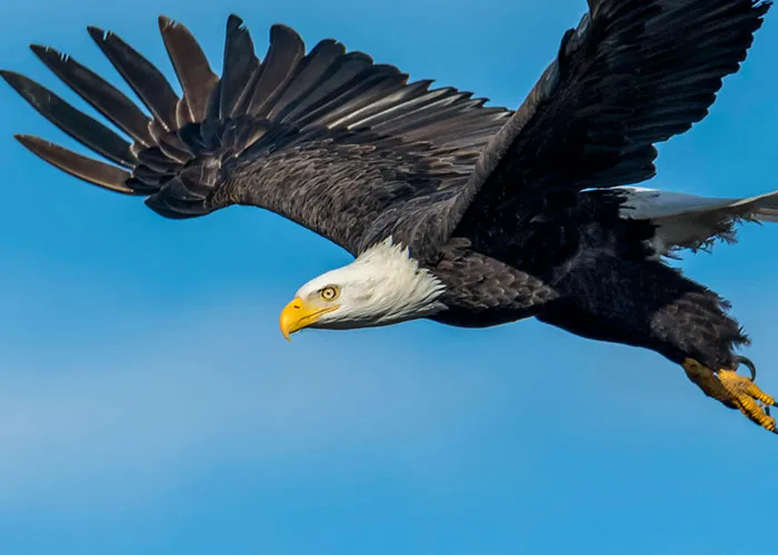 50 True Stories That Sound So Bizarre That Nobody Believes These People