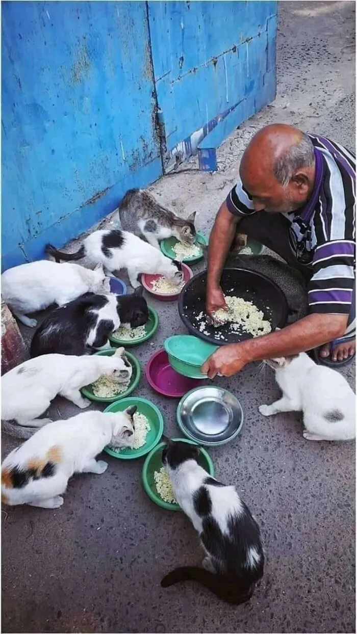 47 Times Humans And Animals Formed The Most Unexpectedly Beautiful Bonds (New Pics)