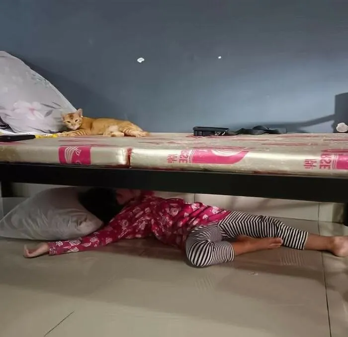 Child sleeping under bed with an orange cat resting above, capturing sweet human-animal bonds in an important animal image.