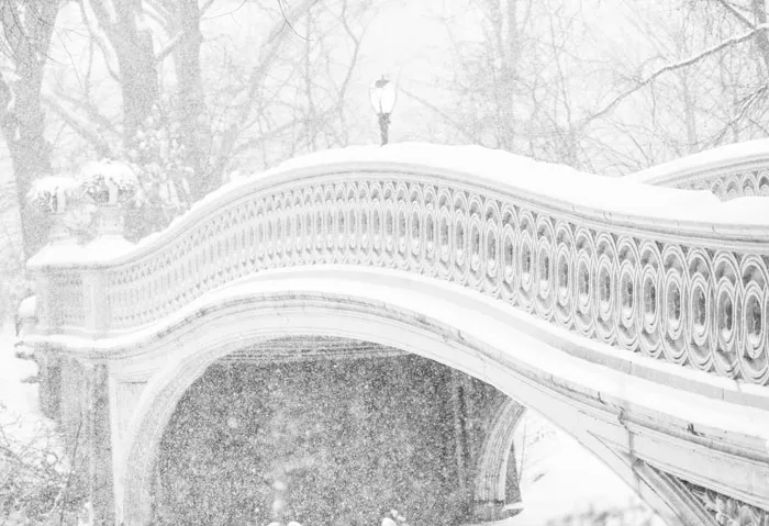 Snowy Central Park Looks Lovely Today During