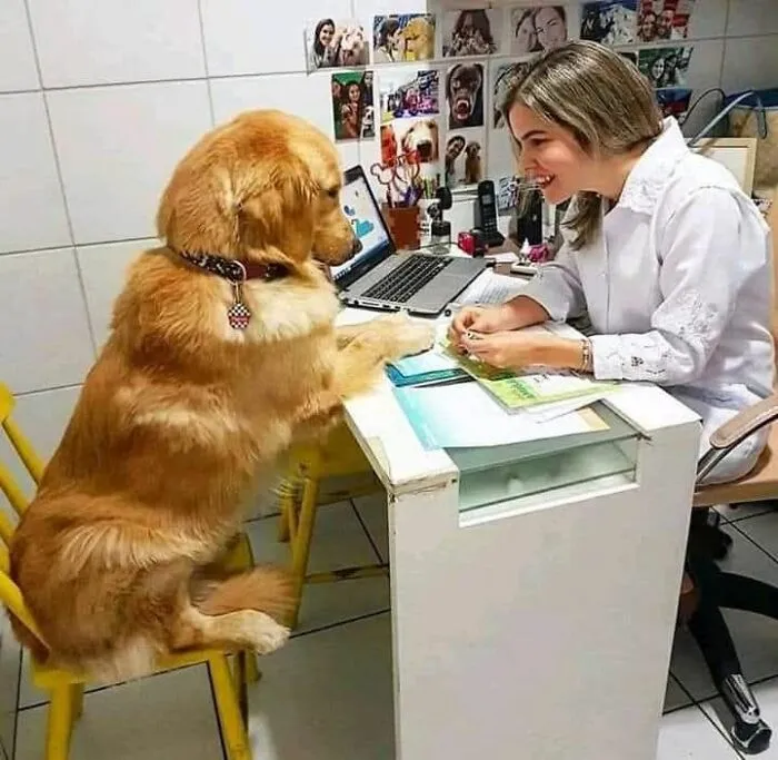 This Facebook Page Shares The Most Ridiculously Dog Photos To Help You De-Stress (40 Pics)