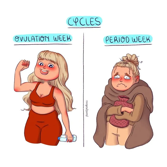 Illustration showing a woman’s cycles during ovulation week feeling strong and period week feeling tired and cold.