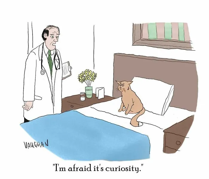 50 Best Comics By Vaughan Tomlinson That Capture Relatable Moments In Modern Life