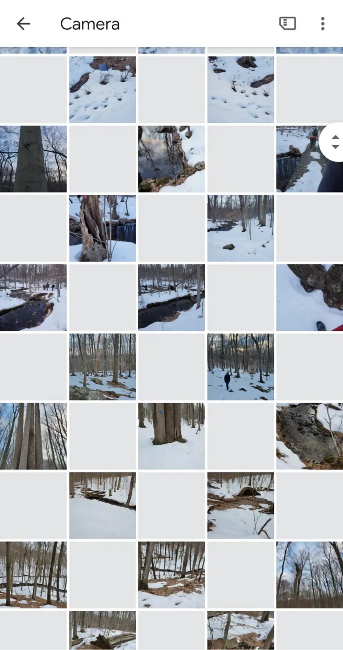 Purge Phone Photos