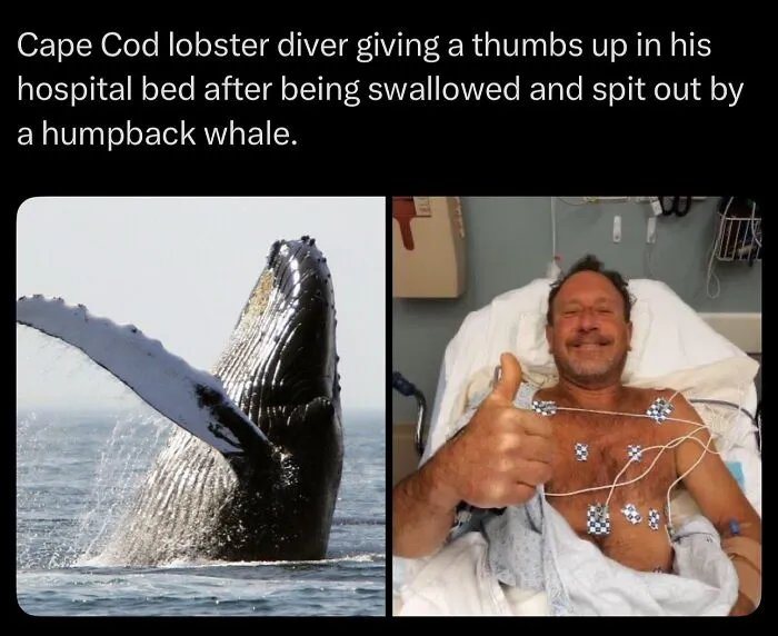 30 Unsettling Facts That Are So Creepy They Might Make You Close The Tab Immediately