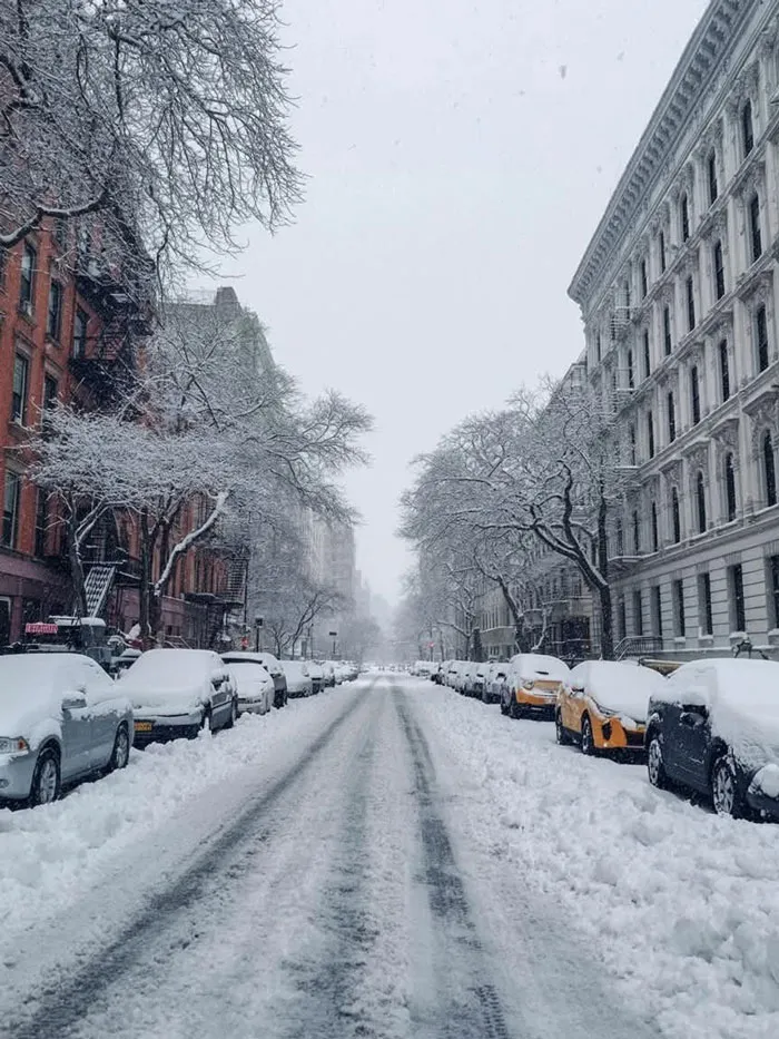 Snowstorm hitting U.S. city street with parked cars and trees covered in heavy snow during winter.