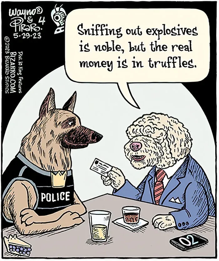 50 Best Comics By Dan Piraro Showcasing Life, Society, And Human Quirks