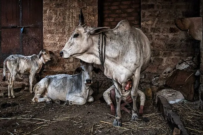 This Street Photographer Captures Raw And Human Moments In Everyday Life (40 Pics)