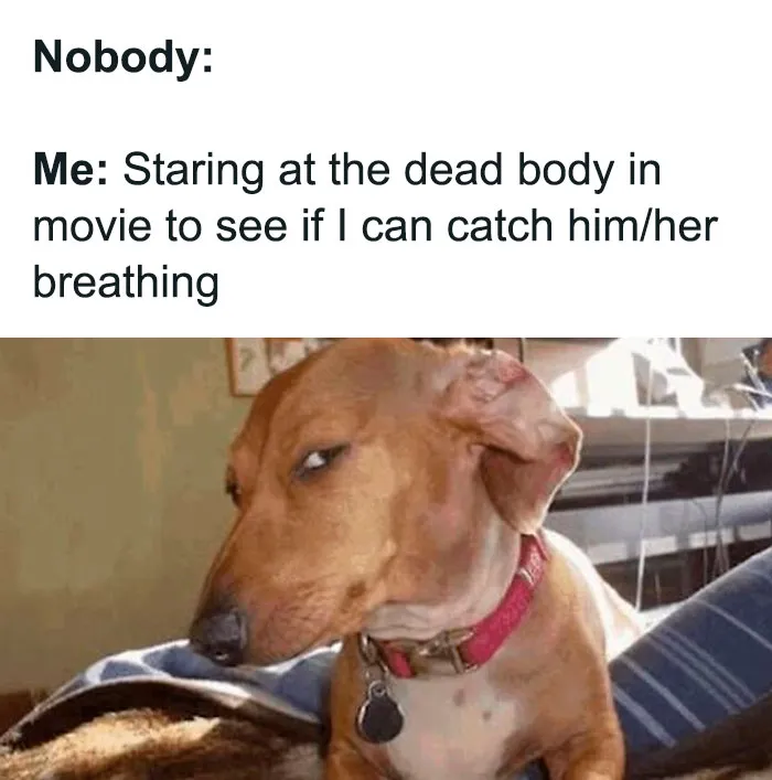 80 Memes With Absolutely No Filter That May Make Your Jaw Drop In Shock