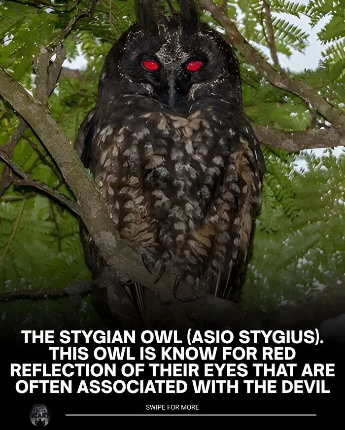 30 Unsettling Facts That Are So Creepy They Might Make You Close The Tab Immediately
