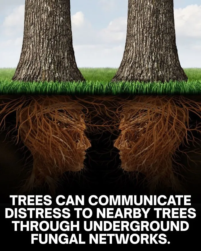 30 Unsettling Facts That Are So Creepy They Might Make You Close The Tab Immediately