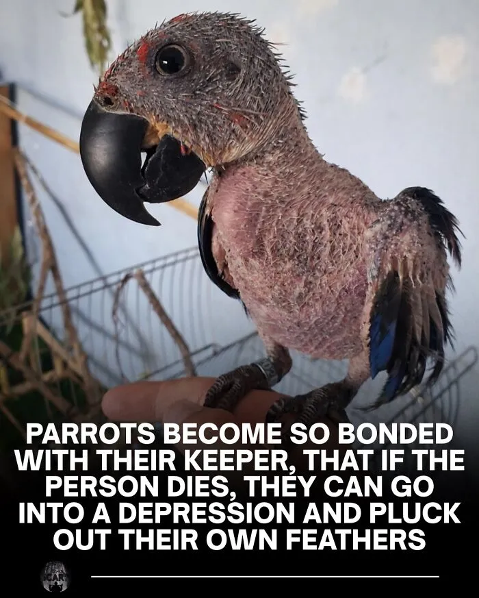 30 Unsettling Facts That Are So Creepy They Might Make You Close The Tab Immediately