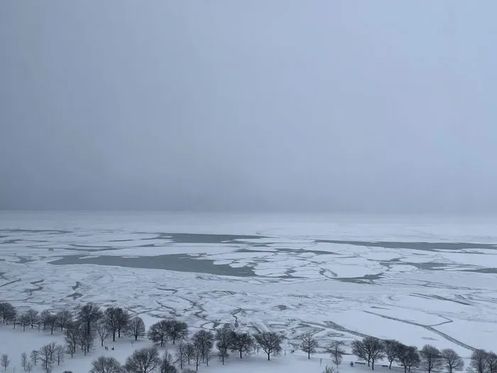 Snowstorm hitting the U.S. with frozen lake and snow-covered trees under a gray, overcast sky.
