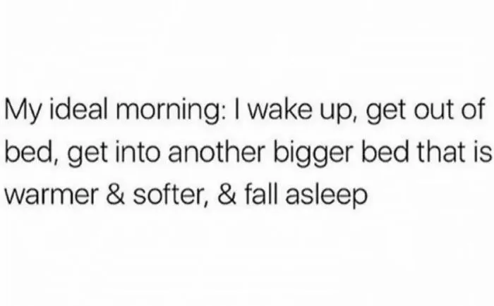 Relatable meme text about ideal mornings describing waking up and moving to a bigger, warmer, and softer bed.