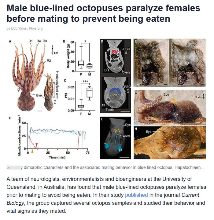 Male Blue-Lined Octopuses Inject Venom Into Females Before Mating To Keep Them Paralyzed During The Mating Activities, So They Don't Get Eaten Afterwards