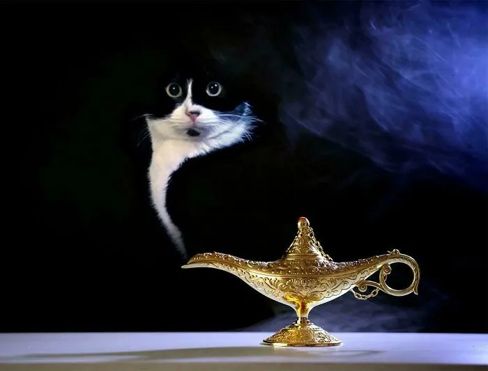 Genie