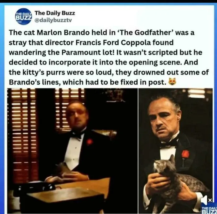 Actor. Oscar Worthy Actor