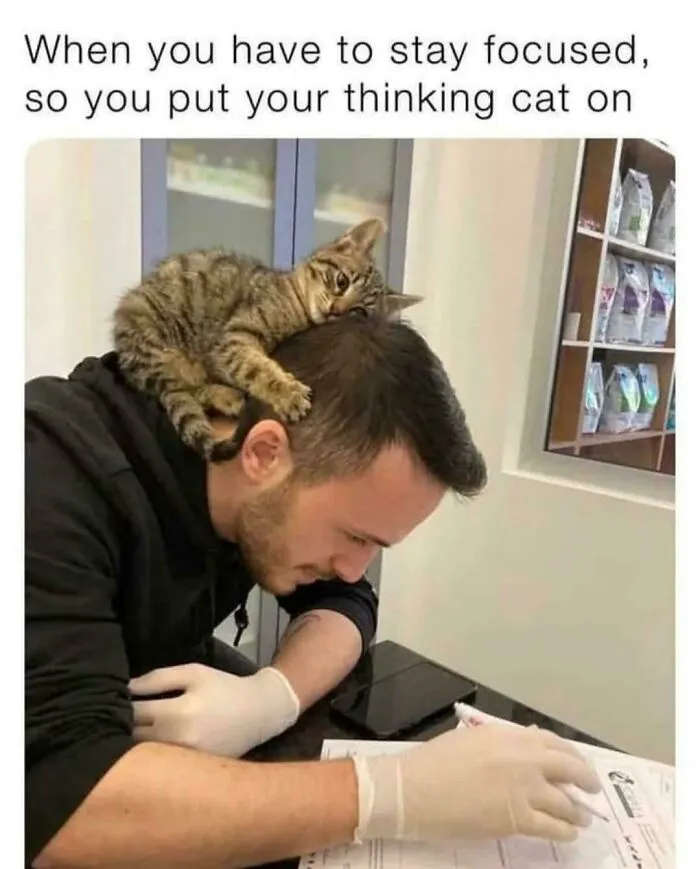 Thought Meownitor