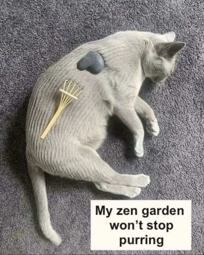 A Professional Garden