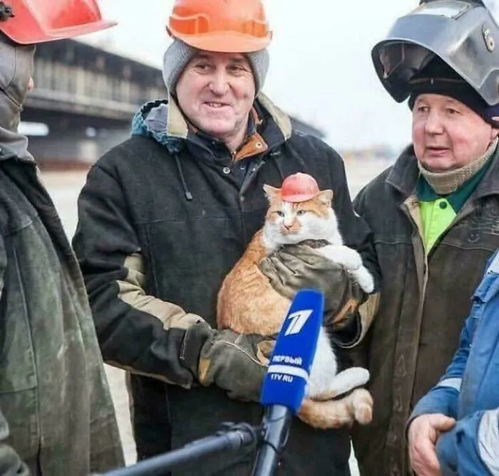 Construction Worker