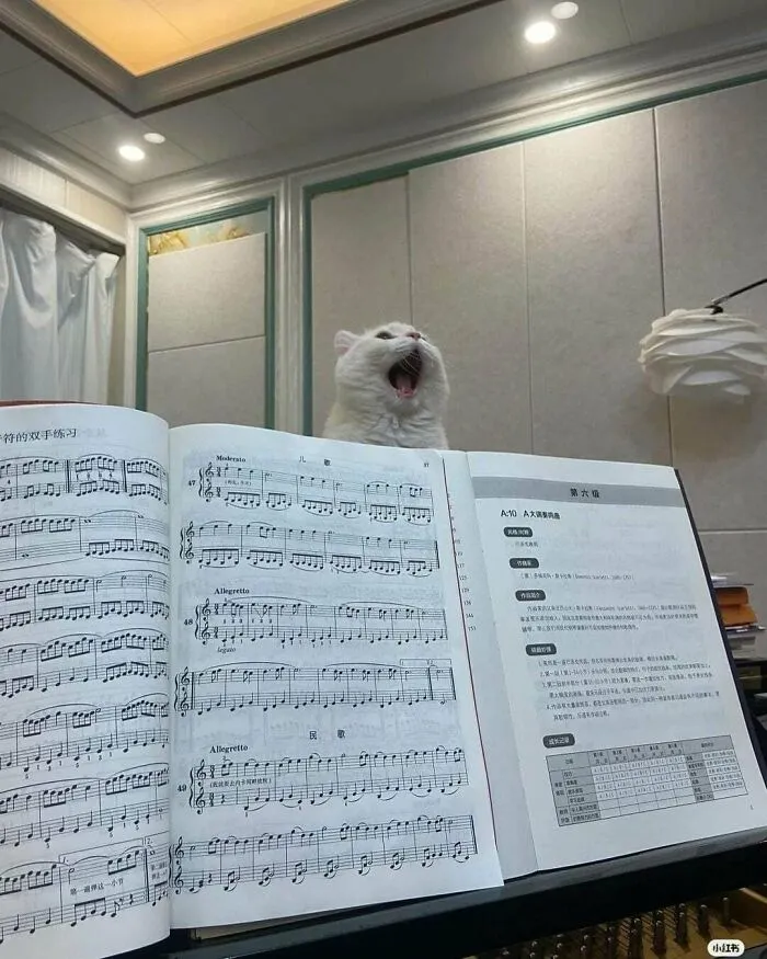 Tenor