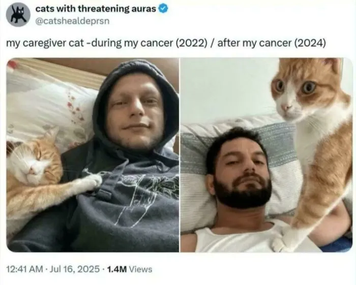 Healer. Caregiver