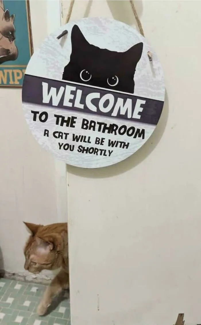 Bathroom Attendant