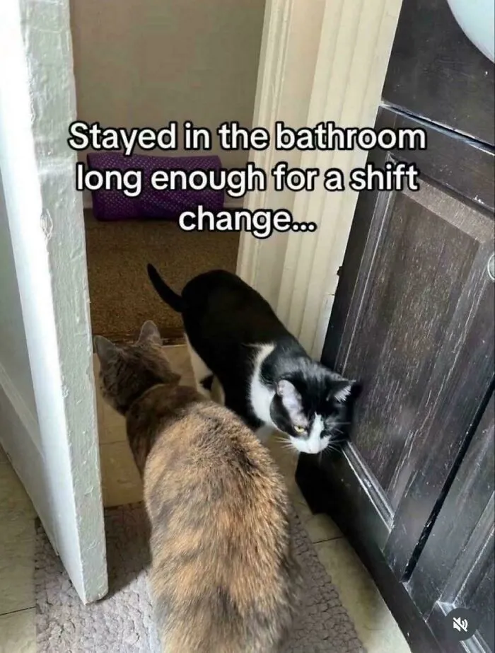Bodyguard