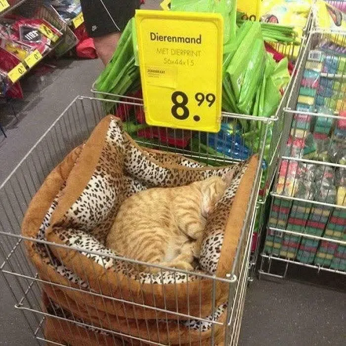 Quality Assurance