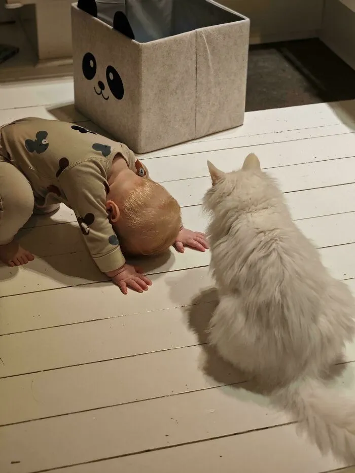 Molly Has Started A New Religion And Recruited Her First Follower