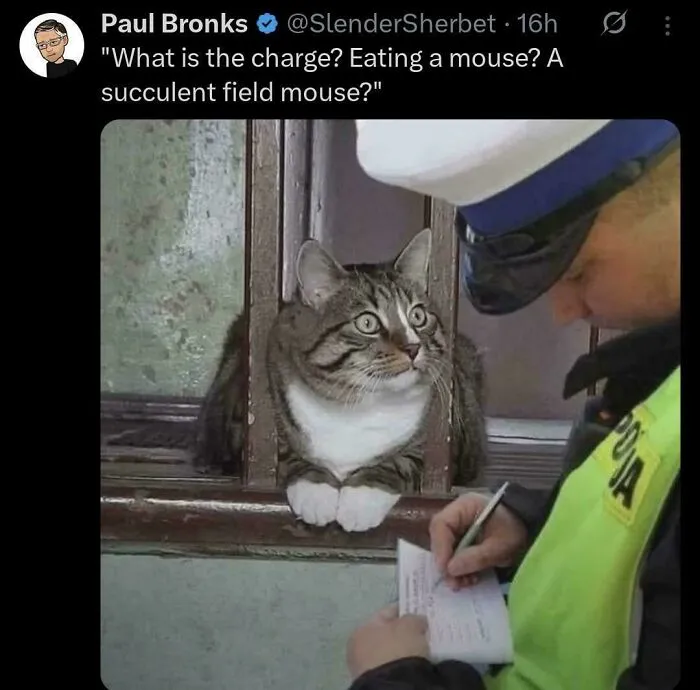 Professional Mouser
