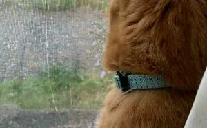 104 Times Someone Was Being Such A Jerk, People Had To Shame Them Online (New Pics)