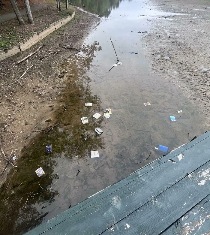 Alguien arrojó libros de la pequeña biblioteca de nuestra calle al agua