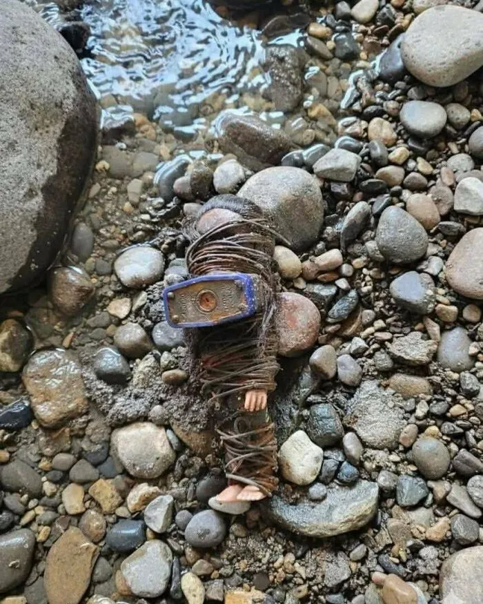 Someone Just Ran Into This While Walking On The Beach, What Could It Be?