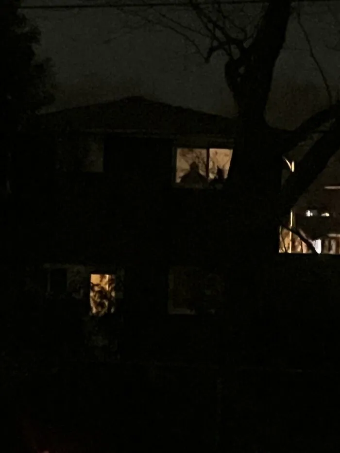 My Neighbours In The Window