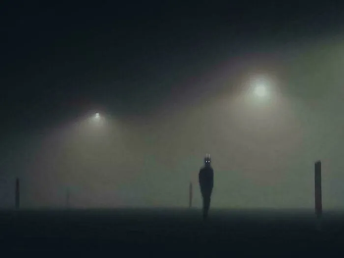 Aprovechando una noche de niebla