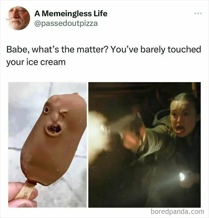 Funny-Memes-Memeingless-Life
