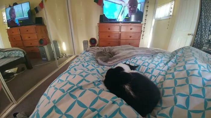 TV Scene Changed While Photo Was Being Taken