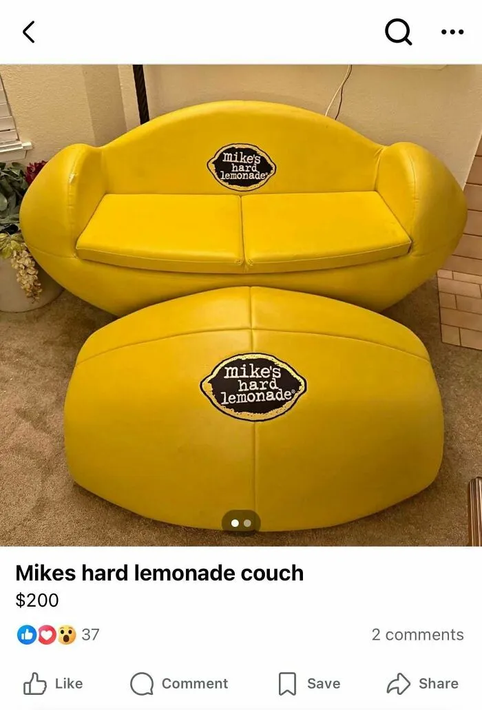 One Of The Kookier Things I’ve Stumbled Across On Fb Marketplace