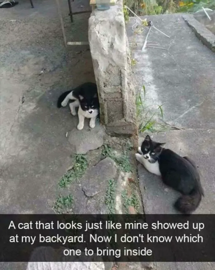 Caught Them Changing Shifts