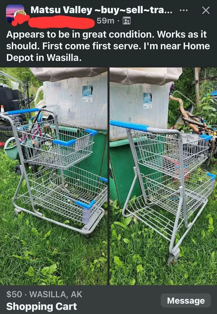 She's Selling A Walmart Shopping Cart... For 50 Bucks