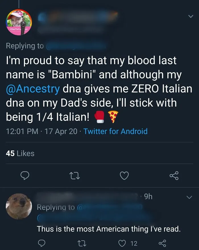 Screenshot of ridiculous American internet comments about ancestry and identity with humorous emojis and replies.